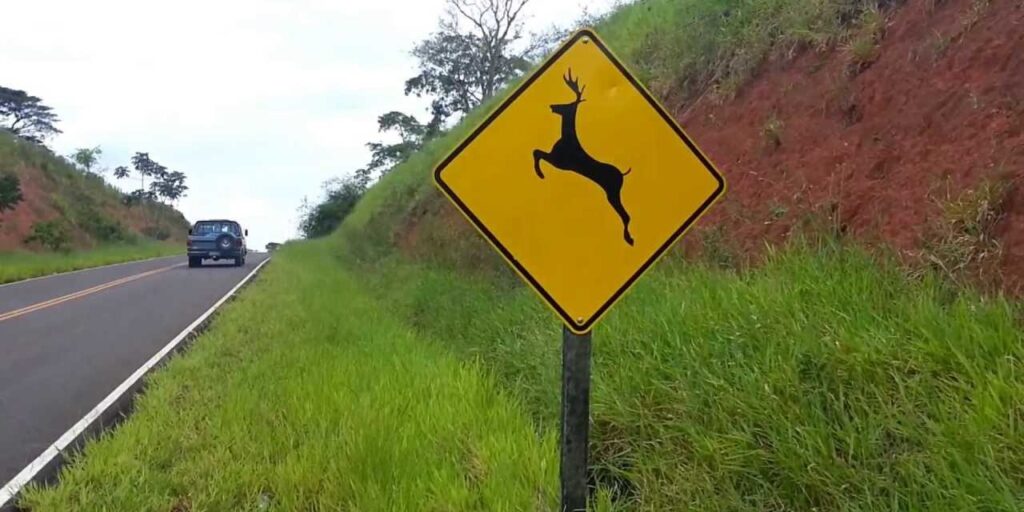 Todos sabem que a presença de animais soltos ou próximos às estradas do Brasil é facilmente percebida, dada a proximidade a zonas rurais e até mesmo áreas urbanas, caracterizando um grande...